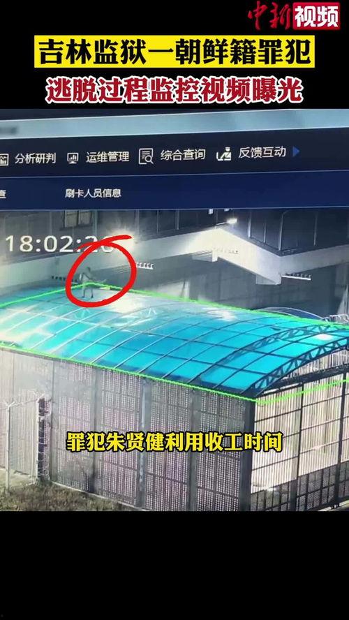 逃跑吧最新爆料信息视频